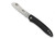 Spyderco Roadie Slipjoint folding knife with Double Dent - shown open obverse.  Satin N690Co stainless steel plain edge blade.  Black FRN handle.  Model C189PBK.