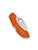 Spyderco Dragonfly 2 folding knife with thumb hole - shown closed pocket clip side.  Satin VG-10 stainless steel plain edge blade.  Orange FRN handle.  Model C28POR2.