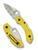 Spyderco Dragonfly 2 Salt folding knife with thumb hole - shown open presentation side and closed pocket clip side.  Satin H-2 stainless steel serrated edge blade.  Yellow FRN handle.  Model C28SYL2.