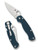 Spyderco Paramilitary 2 folding knife with thumb hole - shown open presentation side and closed pocket clip side.  Satin SPY27 stainless steel plain edge blade.  Cobalt Blue G-10 handle.  Model C81GPCBL2.