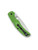 Spyderco Native Chief Salt folding knife with thumb hole - shown closed pocket clip side.  Satin LC200N stainless steel plain edge blade.  Green FRN handle.  Model C244PGR.