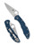Spyderco Delica 4 folding knife with thumb hole - shown open presentation side and closed pocket clip side.  Satin SPY27 stainless steel plain edge blade.  Blue FRN handle.  Model C11PCBL.