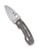 Spyderco PITS 2 folding knife with thumb hole - shown open presentation side.  Satin M390 stainless steel plain edge blade.  Titanium handle.  Model C269TIP.