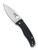 Spyderco Bodacious Sprint Run folding knife with thumb hole - shown open presentation side.  Satin S90V stainless steel plain edge blade.  Black carbon fiber handle.  Model C263CFP.