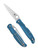Spyderco Charisma folding knife with thumb hole - shown open presentation side and closed pocket clip side.  Satin CTS BD1N stainless steel plain edge blade.  Blue FRN handle.  Model C259PBL.