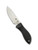 Spyderco Bill Moran Drop Point fixed blade knife - shown out of sheath obverse.  Satin VG-10 stainless steel plain edge blade.  Black FRN handle with Kraton inserts.  Model FB02P.