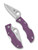 Spyderco Ladybug 3 folding knife with thumb hole - shown open obverse and closed reverse.  Satin VG-10 stainless steel plain edge blade.  Purple FRN handle.  Model LPRP3.