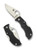 Spyderco Manbug folding knife with thumb hole - shown open obverse and closed reverse.  Satin VG-10 stainless steel plain edge blade.  Black FRN handle.  Model MBKP.