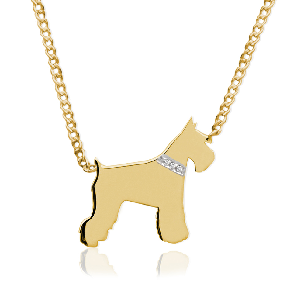 necklace for my dog