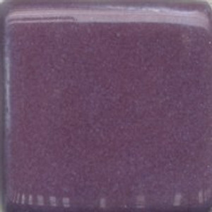 MBG053-P Pansy Purple Pint MBG053-P Pansy Purple Pint