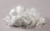 Nylon Fiber 1/2 lb. Nylon Fiber 1/2 lb.