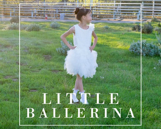 Ballerina White Tulle Lace Dress