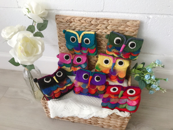 Felted Wool Owl Pouch