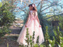 Floral Lace Sequin Hi-Low Tulle Gown