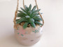 Hanging Succulent Pot Camper Sloth