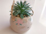 Hanging Succulent Pot Camper Sloth