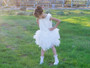 Ballerina White Tulle Lace Dress