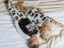 Family Cotton Pajamas for Baby Children Adults Dog