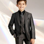 Boy Slim-Fit 3-piece Shine Suit, Charcoal