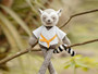 14" Organic Cotton Rattle Plush, Lemur