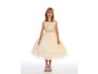 Floral Embroidery Tulle Sleeve Dress