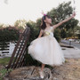 Gold Sparkle Bustier Tulle Dress