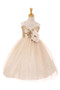 Gold Sparkle Bustier Tulle Dress