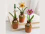 Felt Wool Potted Flower