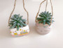 Hanging Succulent Pot Camper Sloth