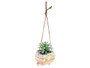 Hanging Succulent Pot Camper Sloth