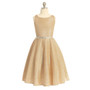 Sparkle Tea Length Dress, Golden Blush