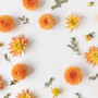 Aromatherapy Ditsy Scrunchie