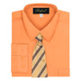 Boy Shirt and Tie Regular Fit, Gold Green