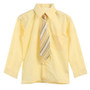 Boy Shirt and Tie Regular Fit, Gold Green