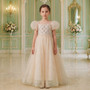 Champagne Sparkle Tulle Ballgown Puff Sleeves & Pearl