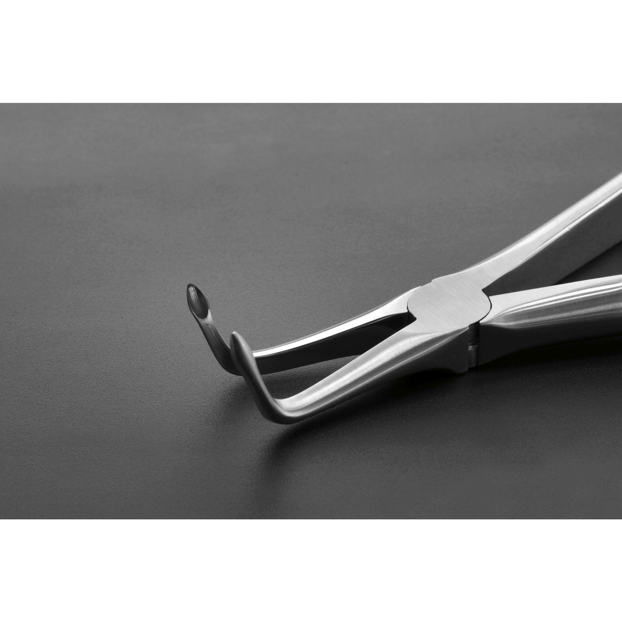 Tooth Forceps Blade Beaks