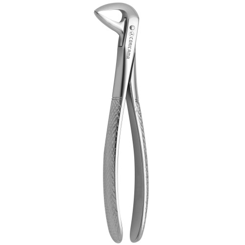 Tooth Forceps For Mandibular Roots And Incisors