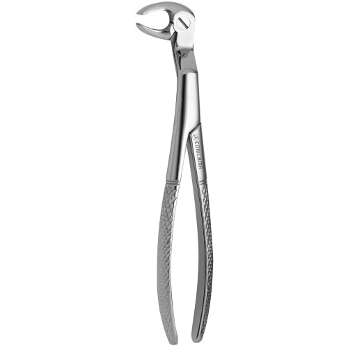 Tooth Forceps Routurier