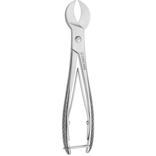 Plaster Shear