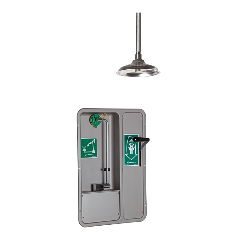 Haws 8356WCC, BarrierFree, WallMounted, Recessed, Combination Shower