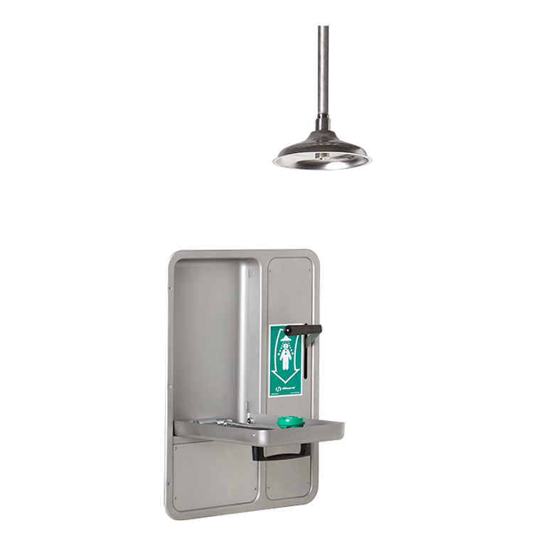 Haws 8356WCC, BarrierFree, WallMounted, Recessed, Combination Shower