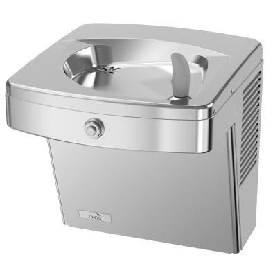 Oasis PG8AC STN Refrigerated Drinking Fountain, Energy/Water