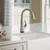 Elkay LKAV7051FLS Avado Single Hole 2-in-1 Kitchen Faucet with Filtered Drinking Water, Lustrous Steel
