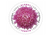 Global Chrysanthemum International First Class Forever US Postage Stamps - Mailboxes of Flushing