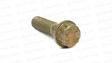 Brake Rotor Bolt, M10