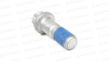 Rear Brake Caliper Bolt, M12 x 35mm