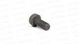 Fuel Tank Pick Up Screw, Perentie and Series