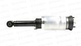 Range Rover Sport Front Strut Assembly, 2010 to 2013 (No ACE)