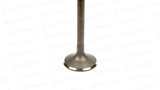 4BD1 Exhaust Valve (NA)