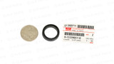 4BD1 Injector Dust Seal